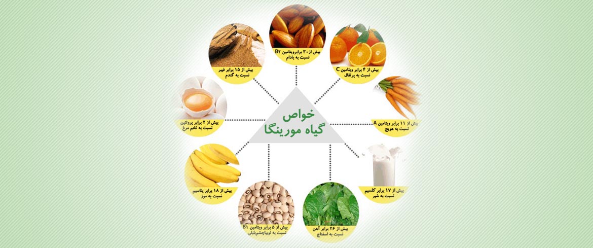 خواص گیاه مورینگا