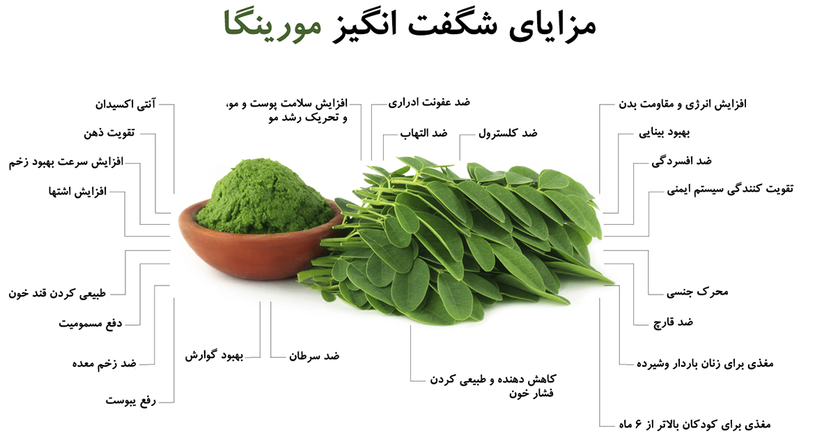 گیاهان دارویی