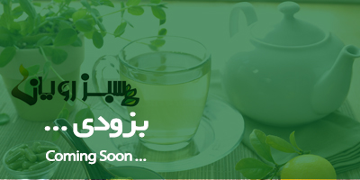 چای مورینگا