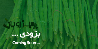 غلاف مورینگا