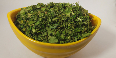 برگ خشک مورینگا