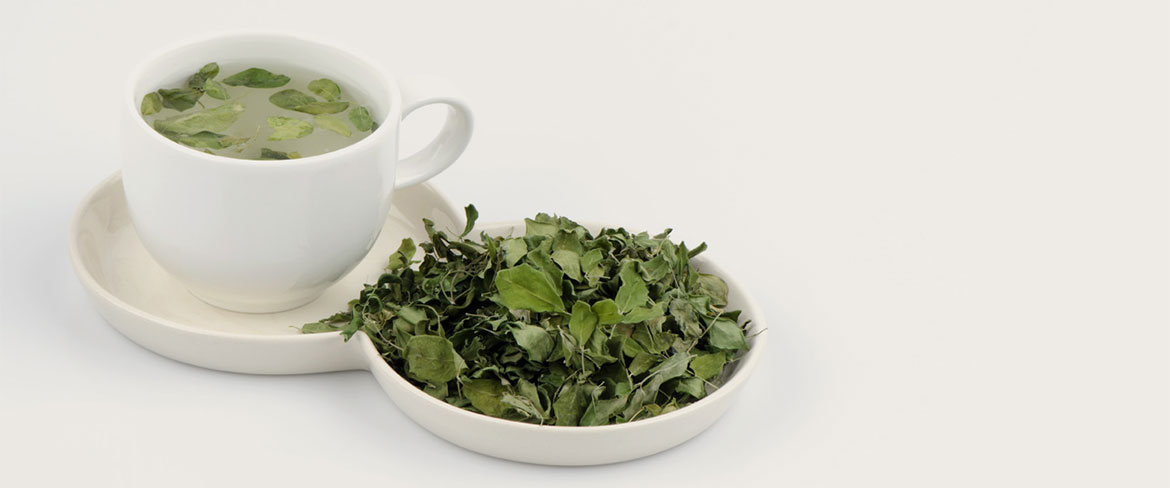 چای مورینگا