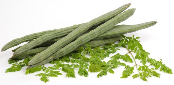 غلات مورینگا