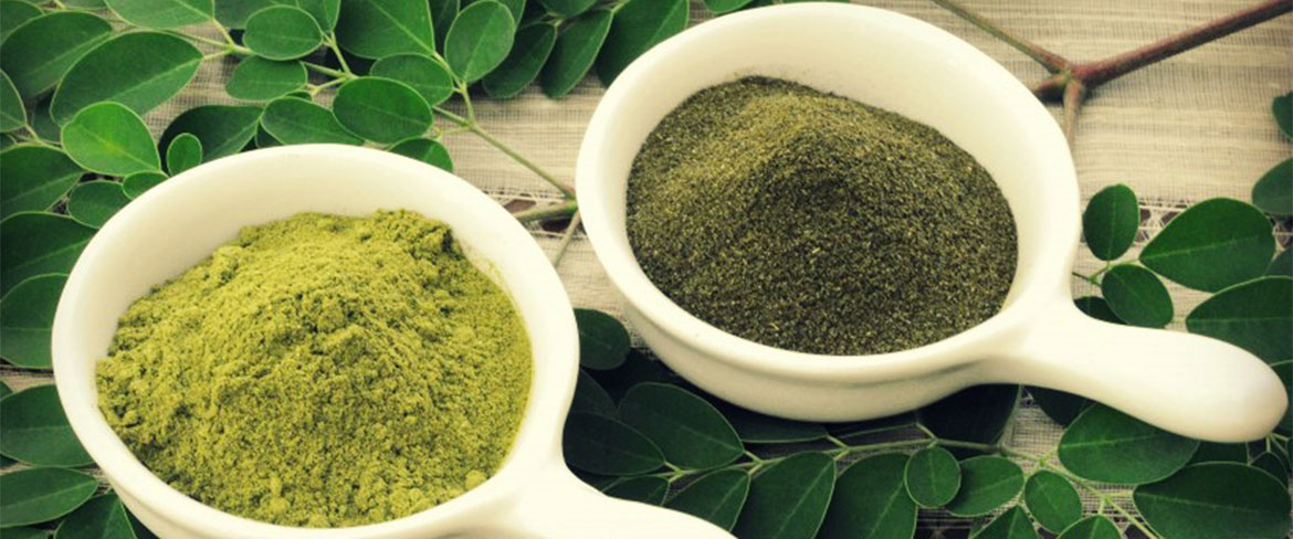 مورینگا در ایران