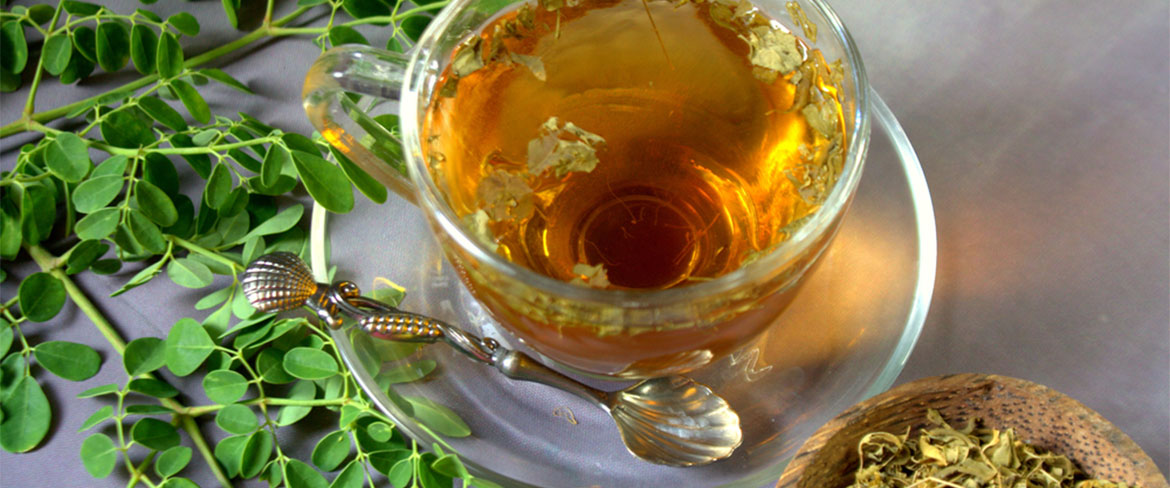 خواص گیاه مورینگا