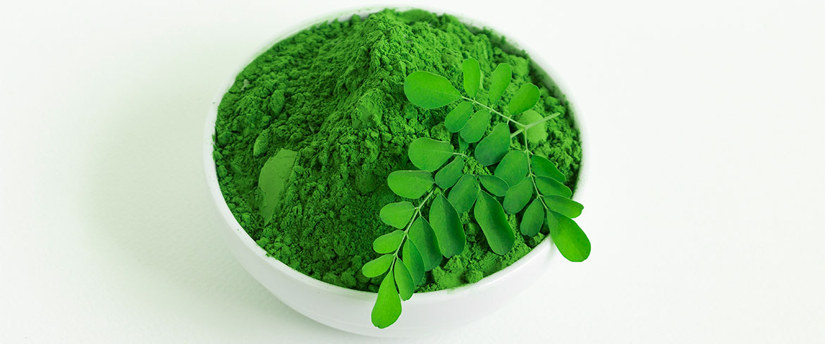مورینگا اولئیفرا