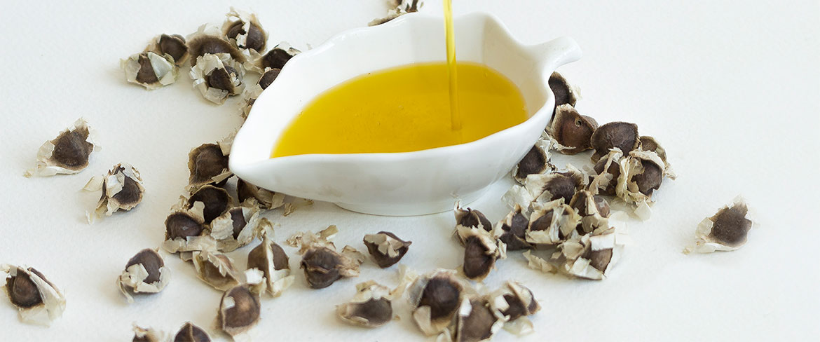 درخت مورینگا