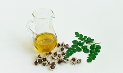 موارد استفاده از گیاه مورینگا