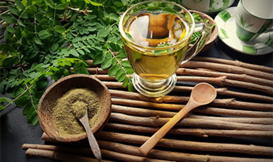 بررسی کاربردهای گیاه مورینگا