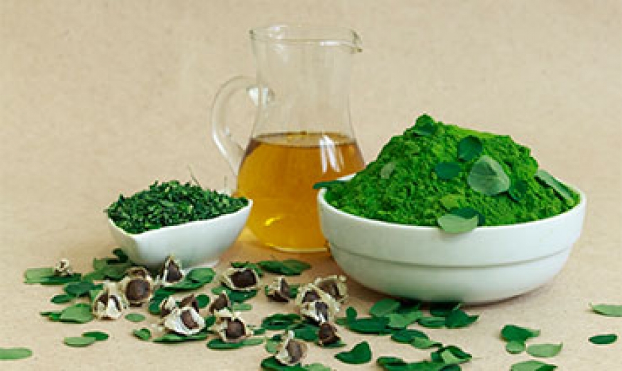 خواص درمانی مورینگا